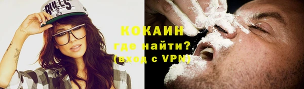 стаф Аркадак