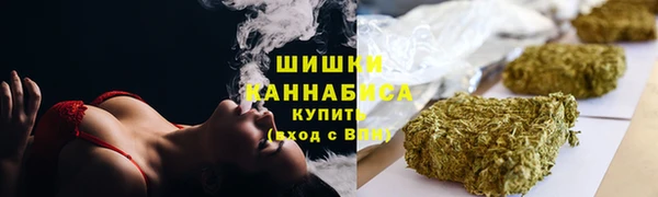 стаф Аркадак