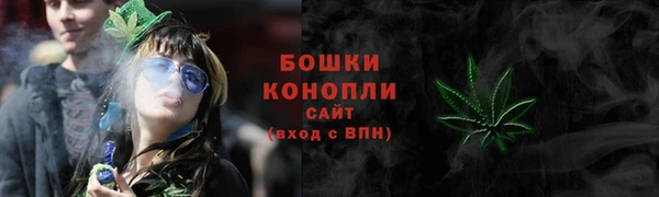 стаф Аркадак