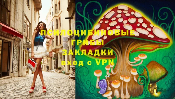 стаф Аркадак