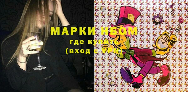 стаф Аркадак