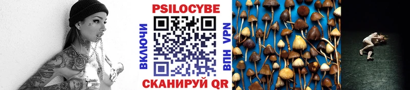 закладки  Липки  Псилоцибиновые грибы мухоморы 